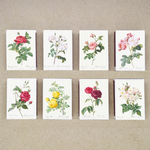 set of 8 MATCHBOX various Flower ROSES rose illustrations paintings botanical artworks China vintage style printing old matches match holder