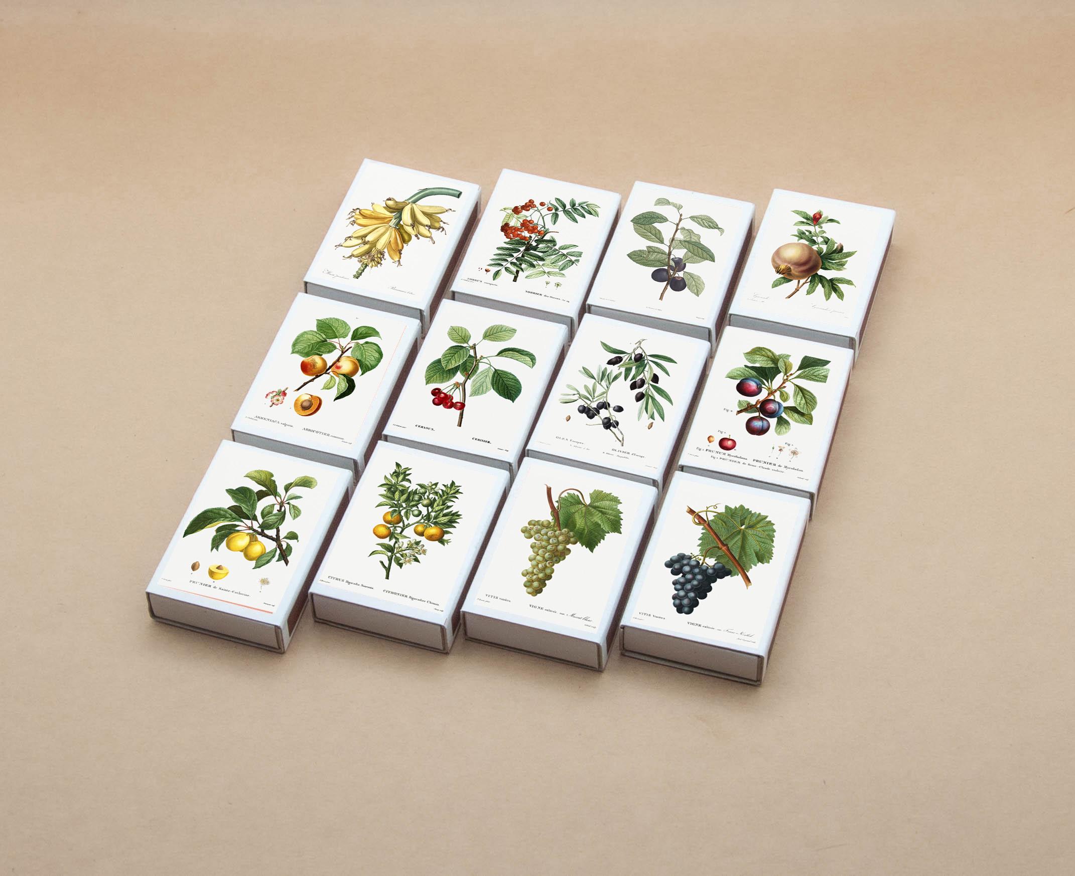 Fruit Tree Botanical Art Matchbox Set - Vintage Style Cardboard Boxes ...