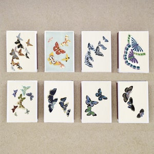 set of 8 MATCHBOX various BUTTERFLY paintings botanical artworks China vintage style printing old matches match holder