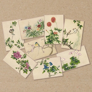 gemischtes Set von 8 Dekorative POSTER Größe: A6 (Postkarte) oder A5 verschiedene BLUMEN und VOGEL Vintage japanische Kunst Japan Druck alte Streichholzschachtel