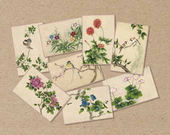 May include: Nine cards with floral and bird illustrations. The cards feature a variety of flowers, including pink roses, white flowers, and red flowers. The cards also feature birds, including a blue bird and two brown birds.