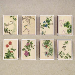 set of 8 MATCHBOX various Flower and bird paintings botanical artworks China vintage style printing old matches match holder