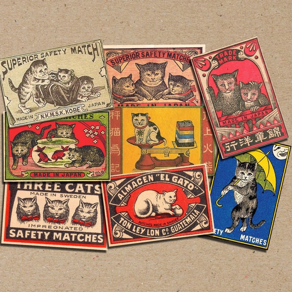 Vintage Cat Postcard Etsy