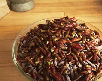 Balm of Gilead buds: Fresh-Frozen, Wild Canadian Balsam Poplar (Cottonwood) buds.