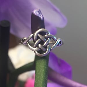 May include: A silver Celtic knot ring with a detailed design. The ring is on a green stem with purple flowers in the background.