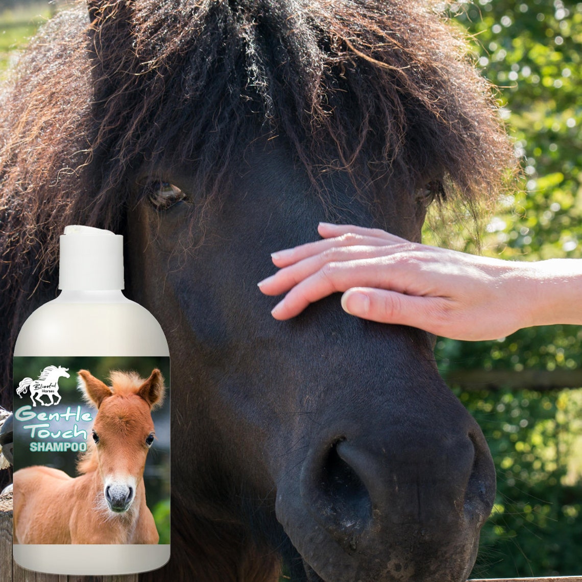 The Blissful Horses Gentle Touch Shampoo Cleanses and Gently Refreshes