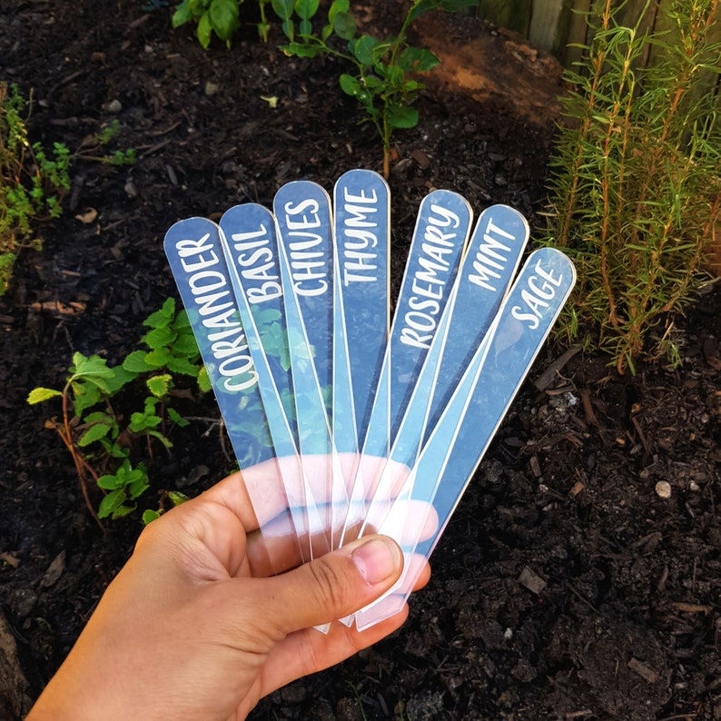 Laser Engraved Clear Veggie/herb Garden Tags Packs Etsy