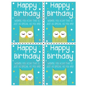DIGITAL DOWNLOAD Owl Themed Birthday Handout Great for Classrooms image 2