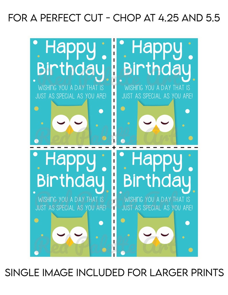 DIGITAL DOWNLOAD Owl Themed Birthday Handout Great for Classrooms image 2