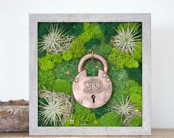 Moss Wall Art, Preserved Moss Art Framed, Moss Wall Decor, Moss Wall Sets, Green Reindeer Moss Pole Moss