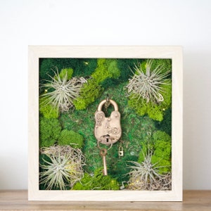 Moss Wall Art Frame with Air Plants & Lichen - 10x10 Wood Shadow Box