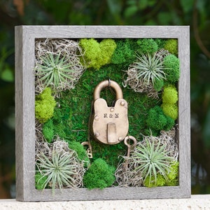 DIY Moss Wall Art Kit, Holiday Gift, Unique Gift, Make Your Own Moss Art, Preserved Moss Art, Birthday Gift