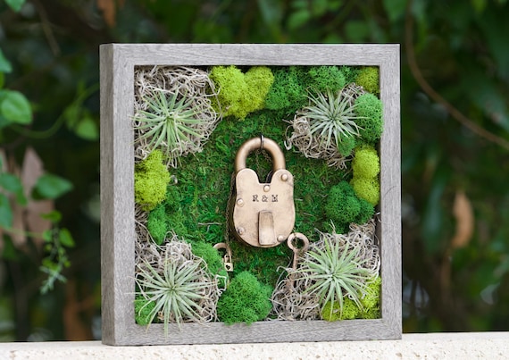 DIY Moss Wall Art Kit, Holiday Gift, Unique Gift, Make Your Own Moss Art,  Preserved Moss Art, Birthday Gift -  Canada