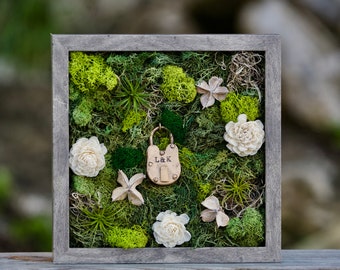 Air Plant Wall Frame Shadowbox Living Garden