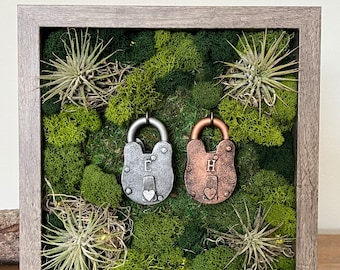 Air Plant Frame | Multiple Air Plants | Reindeer Moss and Lichen | Wall Decor