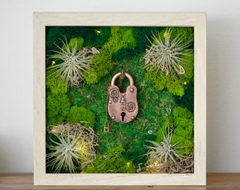 DIY Moss Art Kit, Holiday Gift, Unique Gift, DIY Moss Art, Unique Colorful Moss Wall Art, Birthday Gift, DIY Craft Kit For Adults Teens