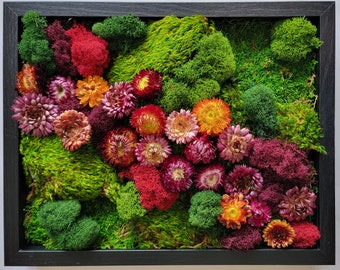 Framed Vertical Moss Wall Garden with Dried Flowers and a Variety of Mosses