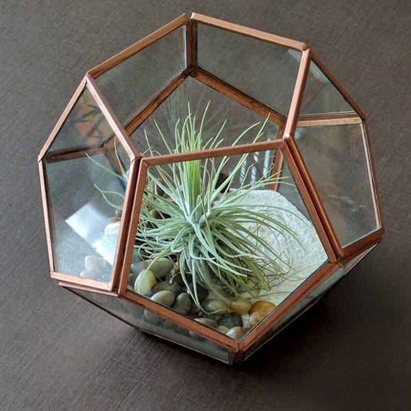 Geometric Copper Air Plant Terrarium with Pebbles, White Sand and Large Air Plant Kit - Best Seller