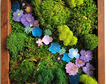 Framed Vertical Moss Wall Garden with Dried Flowers and a Variety of Mosses