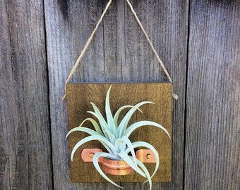 Hanging Wood Plaque with Copper Holder and Large Airplant