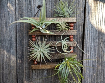 Small Hanging Wood & Cotton Cord Air Plant Ladder with Four or Six Air Plants - Vegan!