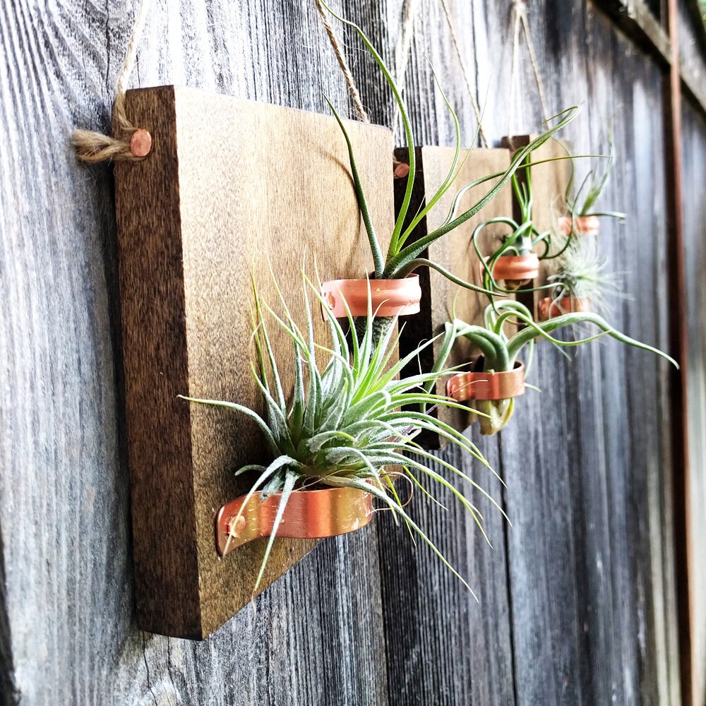 Set of Three Hanging Wood Plaques With Copper Holders and Six Etsy