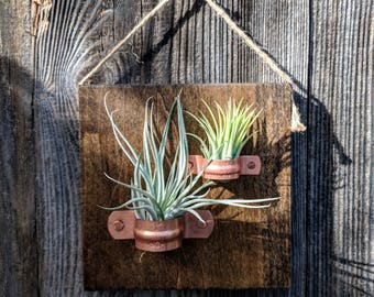 Hanging Wood Air Plant Plaque with Copper Holders without Plants, Perfect Gift!