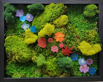 Framed Vertical Moss Wall Garden with Dried Flowers and a Variety of Mosses Rainbow