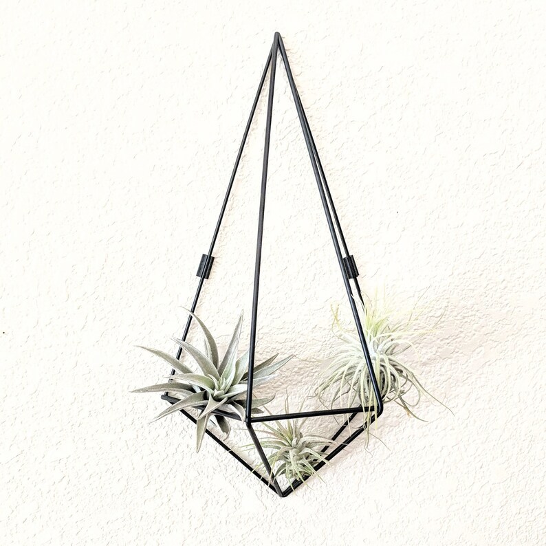 Set of Three Geometric Air Plant Prism Wall Decor Three Color Etsy