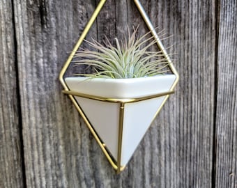 Geometric Air Plant Prism Ceramic and Brass Wall Decor, Two sizes, Air Plants included!