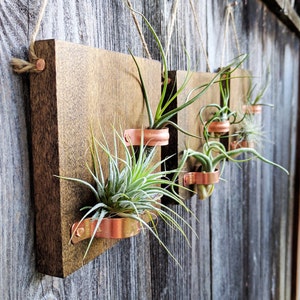 Set of Three Hanging Wood Plaques with Copper Holders Without Plants