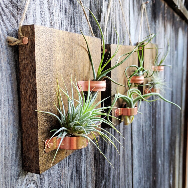 deep discounts sale Set of Three Hanging Wood Plaques with