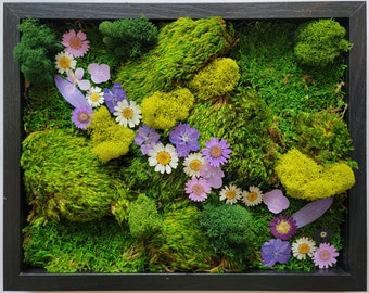 Framed Vertical Moss Wall Garden with Dried Flowers and a Variety of Mosses