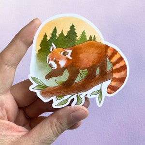 autocollant panda roux | Autocollant animalier en vinyle | Sticker forêt mignon pour bouteille d'eau