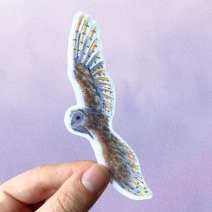 Watercolor Owl Art Sticker: Woodland Animal Vinyl Decal