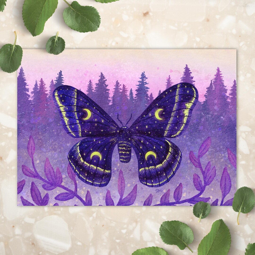 Celestial Moth Art Print | Nature Animal Insect Wall Decor - Etsy