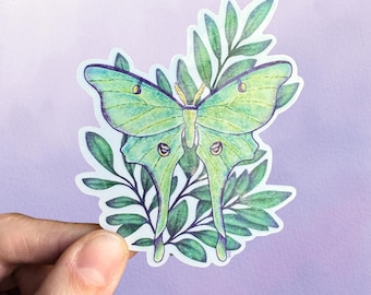 Luna Moth Nature Vinyl Sticker | Forestcore Leaves Art