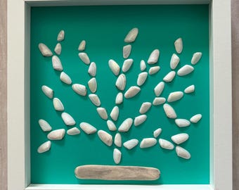 Framed coquina shells, Sanibel seashells, Florida seashells, framed shells