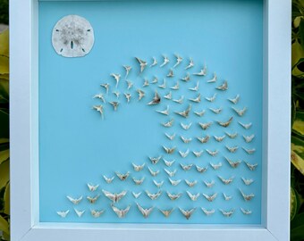 Framed sand dollar teeth, Sanibel seashells, Florida seashells, framed shells
