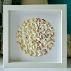 May include: A framed artwork featuring a circular arrangement of seashells crafted to resemble butterflies. The butterflies are in shades of cream, beige, and light brown, set against a white background within a white frame. The artwork is a decorative piece.