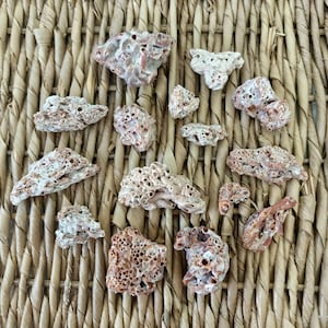 May include: A collection of coral pieces in various shapes and sizes, with a mix of white and reddish-brown hues. The coral has a porous texture and is arranged on a woven, light brown surface.