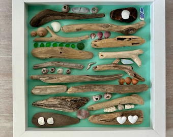 Framed Lake Erie driftwood, Sanibel seashells, Florida seashells