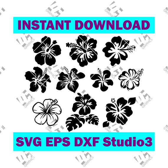 Free Free 344 Silhouette Hibiscus Flower Svg SVG PNG EPS DXF File