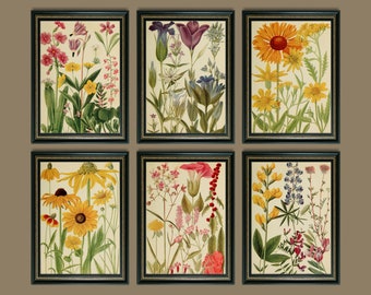 May include: Set of six vintage botanical prints featuring various flowers in shades of yellow, red, pink, blue, and green. The prints are framed in black with gold accents.