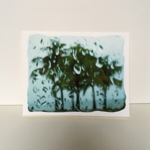 Note Card: Trees In Rain