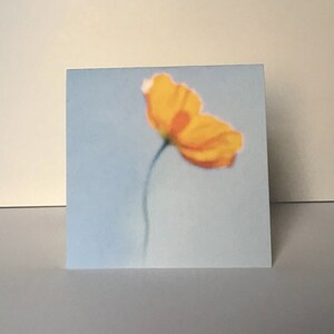Cartão de nota: Flor flutuante de papoula