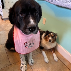 Newfoundland Dog Drool Bib / X-large Dog Drool Bib/ Personalized Dog Bib