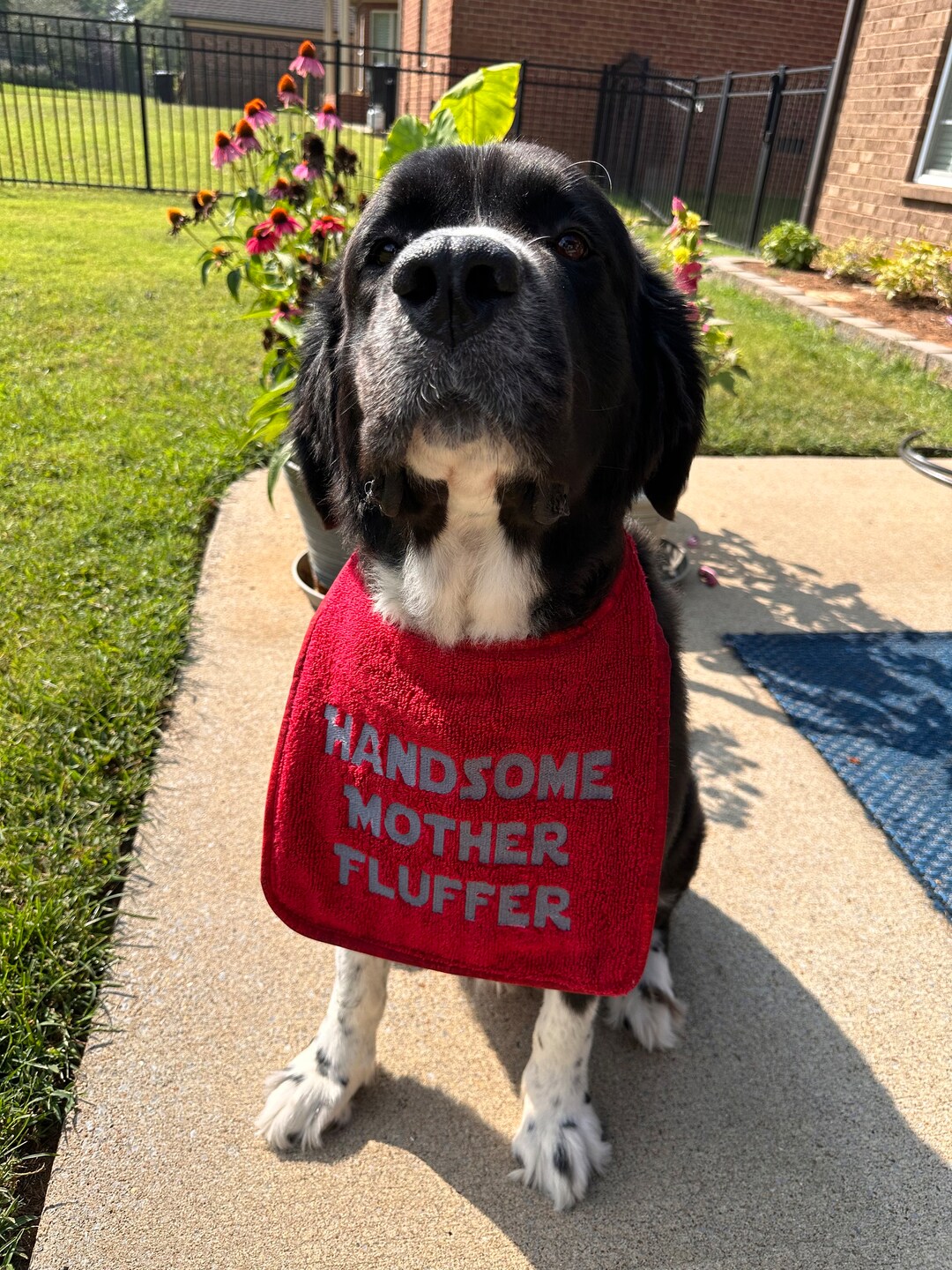 Newfoundland Dog Drool Bib / Xlarge Dog Drool Bib/ Personalized Dog
