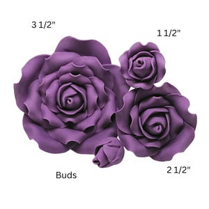 May include: Five purple rose blossoms and buds of varying sizes, ranging from 1 1/2 inches to 3 1/2 inches in diameter. The image includes the word "Buds".