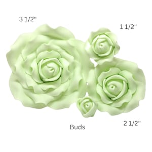 May include: A collection of light green rose buds and blooms. The largest bloom measures 3 1/2 inches across, with others at 2 1/2 and 1 1/2 inches. The image includes the word "Buds".